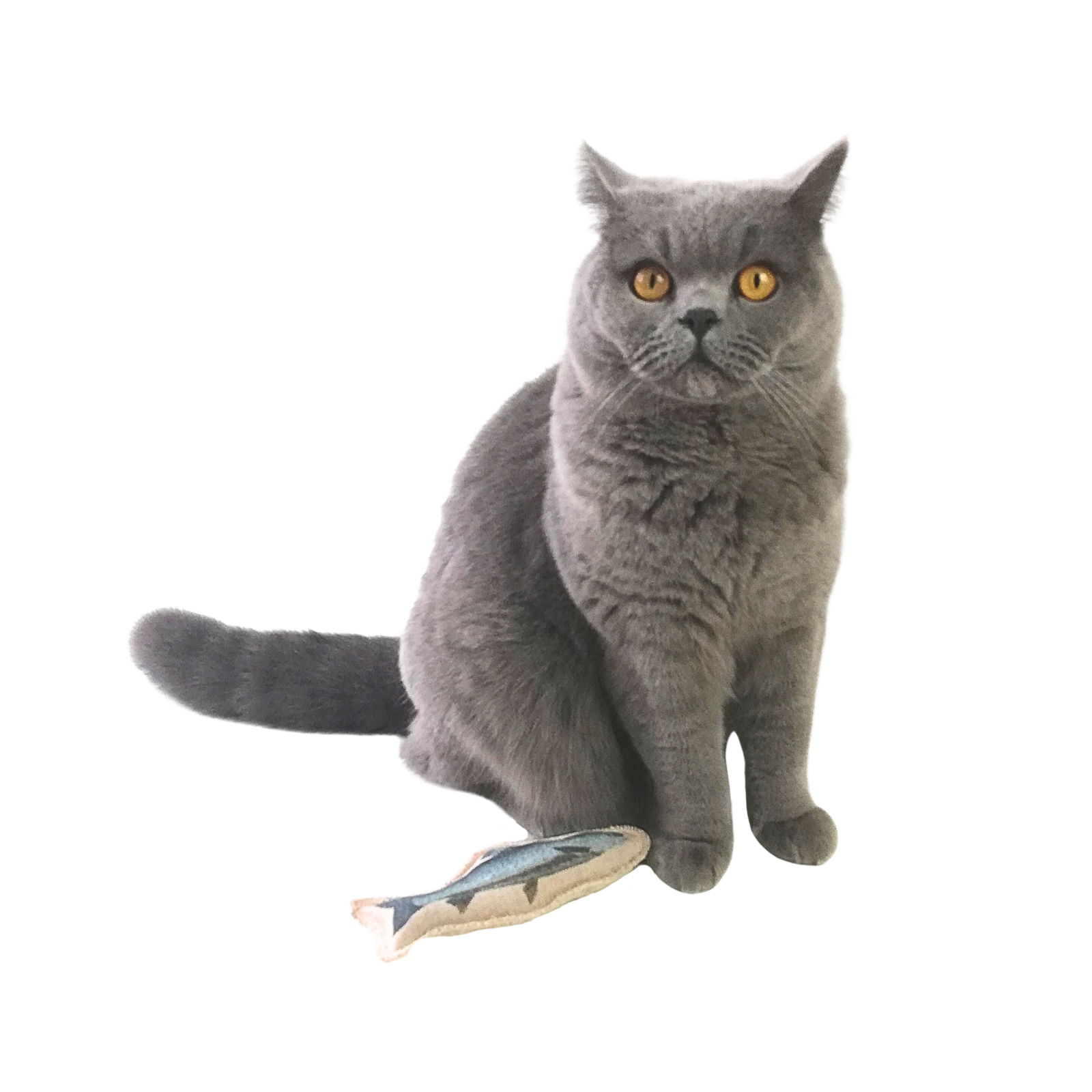 My Clever Cat - Macskamentás játék hal 2 db