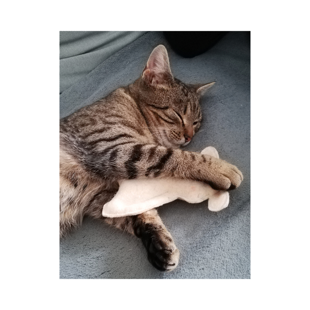 My Clever Cat - Macskamentás bárány tönkölypelyvával
